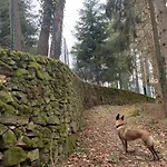 Baltic * Поляница-Здруй