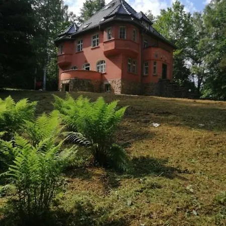 Baltic * 폴라니카-즈루이