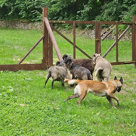 게스트하우스 Baltic 폴라니카-즈루이