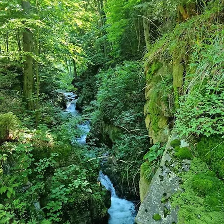 Baltic Affittacamere