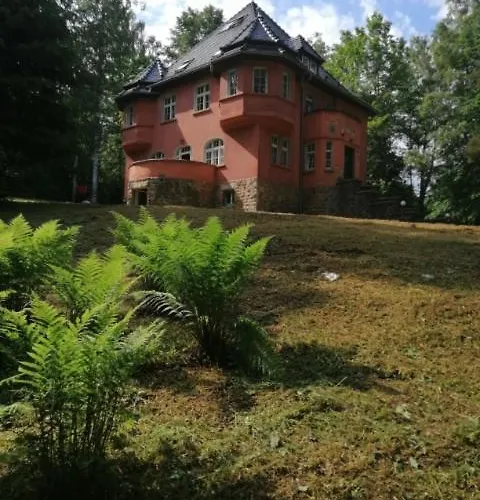 Baltic * 폴라니카-즈루이