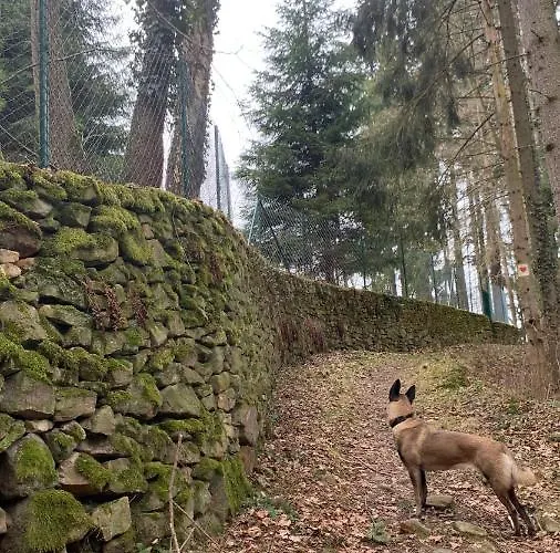 Baltic * Polanica-Zdrój